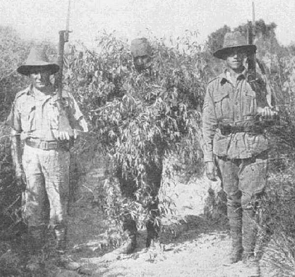 9. Çalıyla kamuflaj yapmış Türk keskin nişancı, iki Anzak tarafından yakalanmış. Gelibolu, 1915