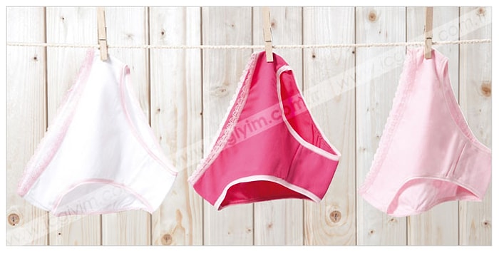 İç Giyim Temizliği