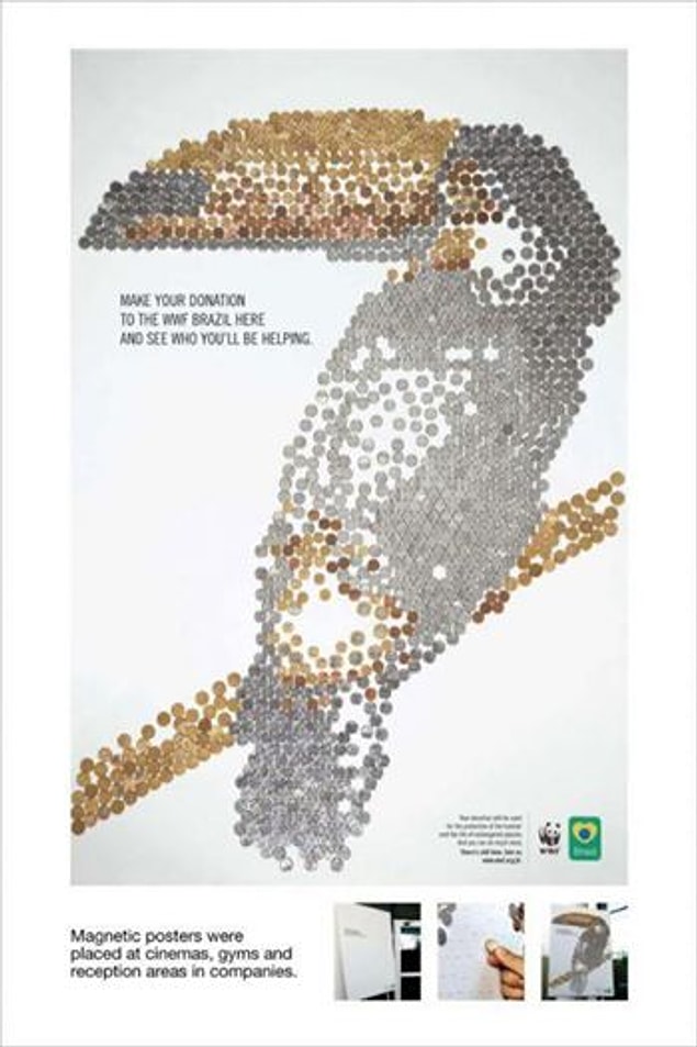 26. WWF