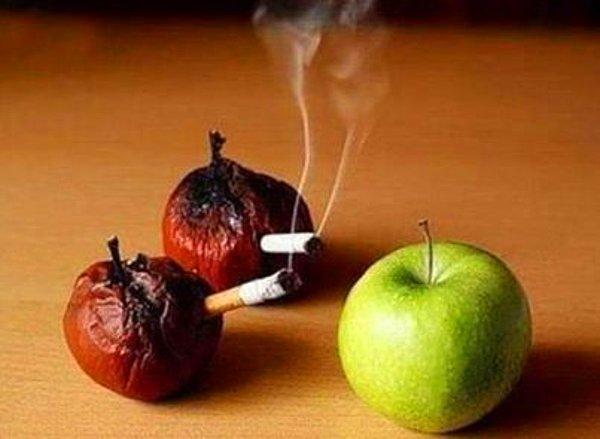 33. Stop The Smoking-Sigarayı Bırakın