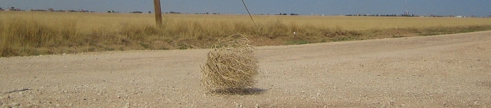 Kovboy Filmlerinin Olmazsa Olmazı Olan 25 Şey