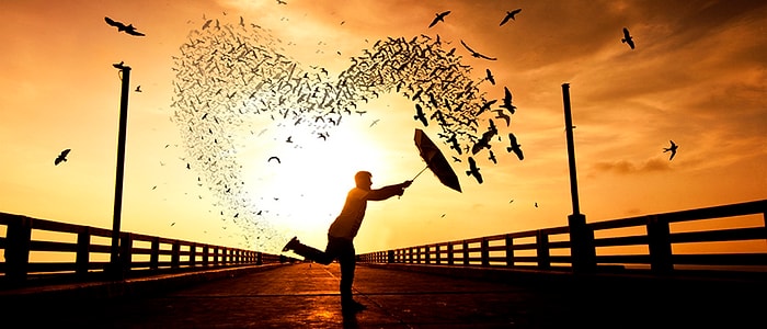 6 Fotoğraf ile Mutluluk