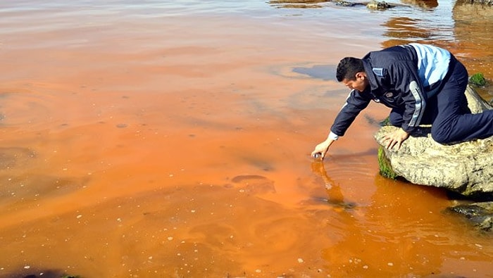 Karadeniz Sahillerinde Görülen Kızıl Tabaka Yayılıyor