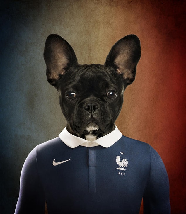 Fransa