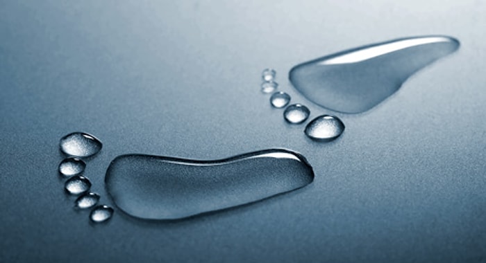 Su Ayak İzi ve Dengeleri