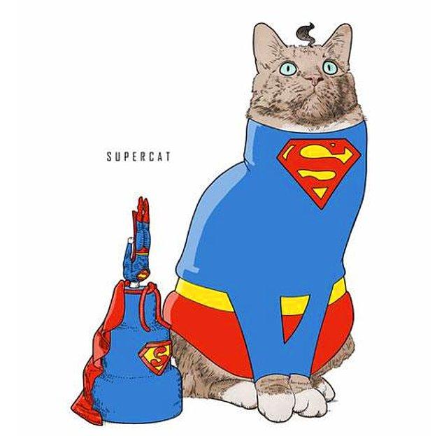 5. Supercat