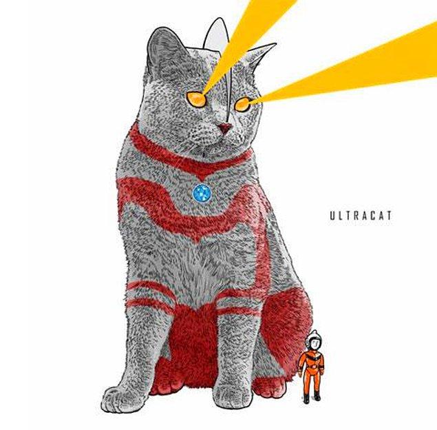 8. Ultracat