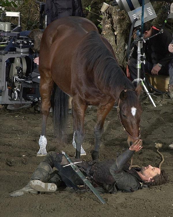 25)Viggo mortensen filmde bindiği atını (brego) çok sevmiş ve satın almış.