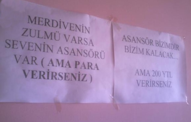 16. Sanatçı ruhludurlar.