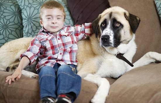 Hasta Çocuk ve 3 Ayaklı Köpeğin Duygusal Hikayesi