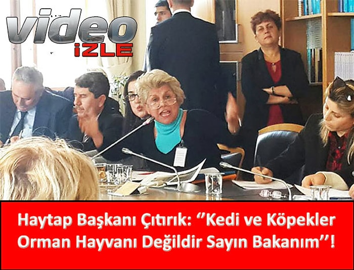 Haytap Başkanı TBMM'de Bakana Gerçekleri Haykırdı!