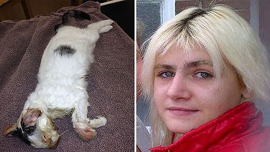 Kedisini Mikrodalga Fırında Pişirdi