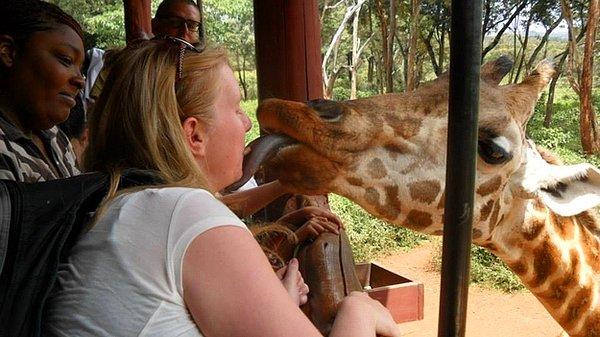 21. Çünkü henüz hiç bir zürafayla öpüşmediniz.