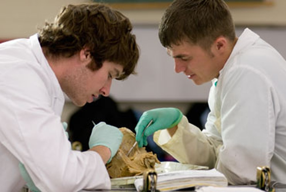 Tıp Fakültesinde Okuduğunu Belli etmenin 12 Yolu