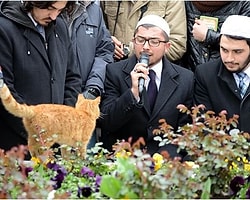 Erbakan'ın Anmasında Kedi Sürprizi