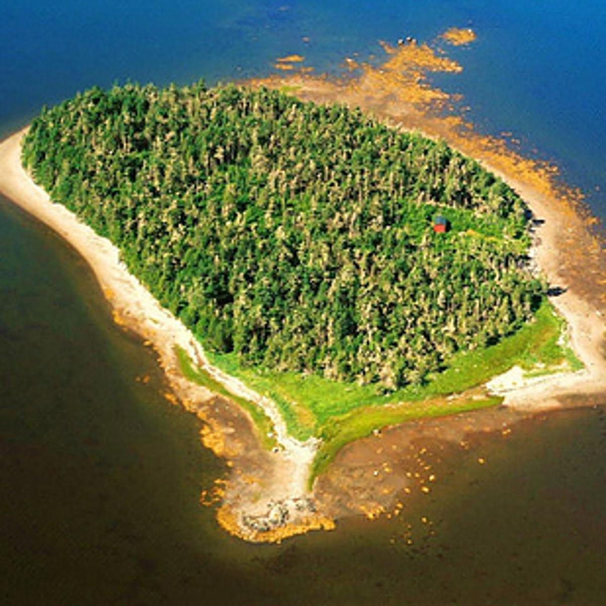 David island