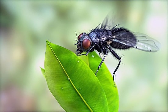 Üç Boyutlu Modellemenin Fotoğraf Kadar Gerçekçi Olabileceğini Gösteren 35 Örnek