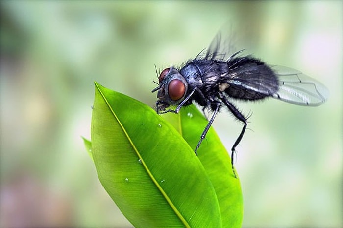 Üç Boyutlu Modellemenin Fotoğraf Kadar Gerçekçi Olabileceğini Gösteren 35 Örnek
