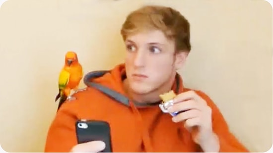 Amerikalı Vine Fenomeni Logan Paul'dan Seçmeler