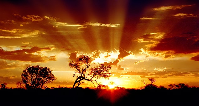 25. Kalahari Desert, Botsvana