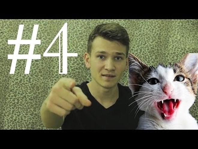 Çılgın People- Dansçı Kedi #4