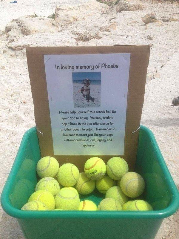 Köpeğini kaybeden adamın sahilde onun tenis toplarını diğer köpeklerin oynaması için bırakması ve not olarak “Her anınızı sevgi, sadakat ve mutlulukla” yaşayın demesi.