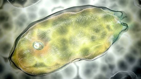 Buzuldan Dev Virüs Çıktı