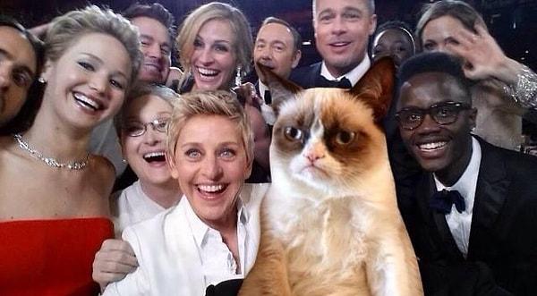 9. Grumpy Cat Selfie.
