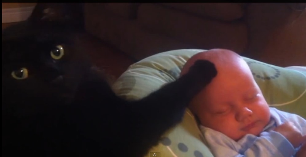 Ağlayan Bebeği Patisiyle Severek Uyutan Kedi