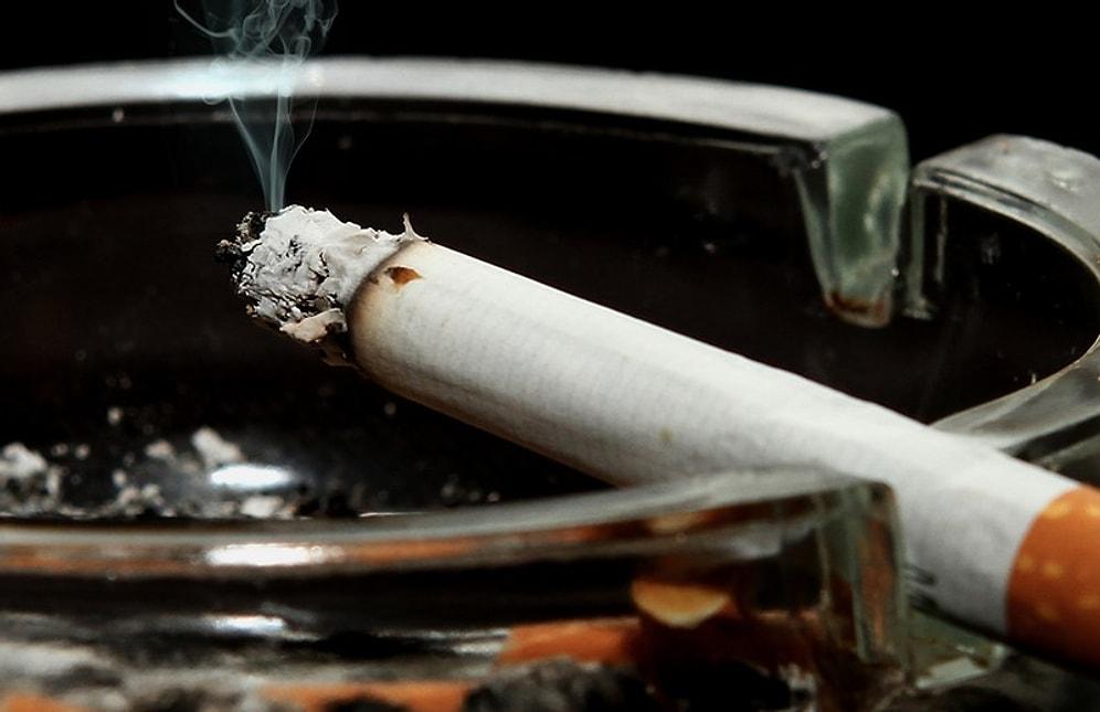 100 Sigara Bile Kansere Davetiye Çıkarıyor