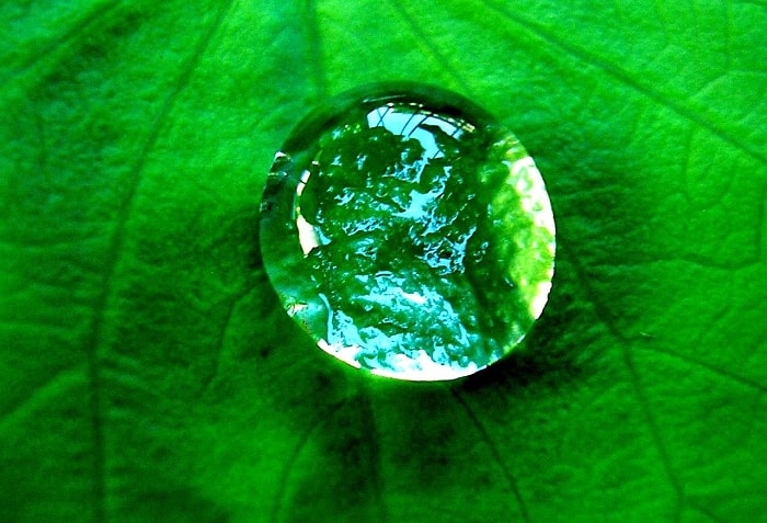 18 İlginç Görselle Hidrofobik Etki Olayı