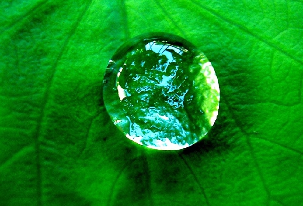 18 İlginç Görselle Hidrofobik Etki Olayı