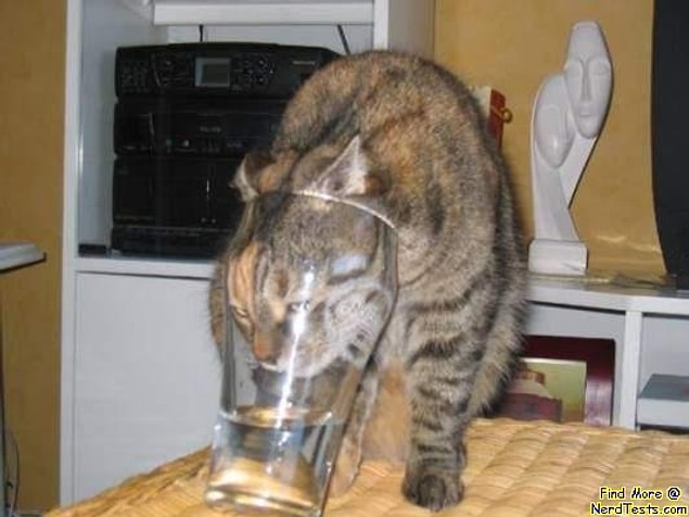 7.