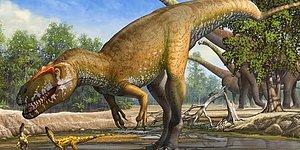 Avrupa'nın 'En Büyük Dinozoru' Bulundu