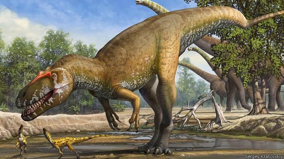 Avrupa'nın 'En Büyük Dinozoru' Bulundu