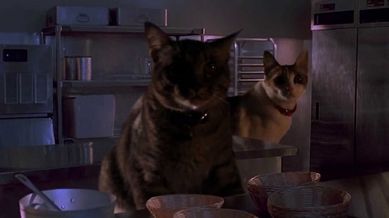 Jurassic Park'ta Dinazorların Yerinde Kediler Olsaydı!