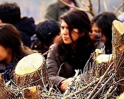 Hevsel Bahçeleri'nde 'Ağaç Nöbeti'