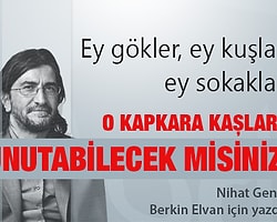 Ey gökler, ey kuşlar, ey sokaklar, o kapkara kaşları unutabilecek misiniz