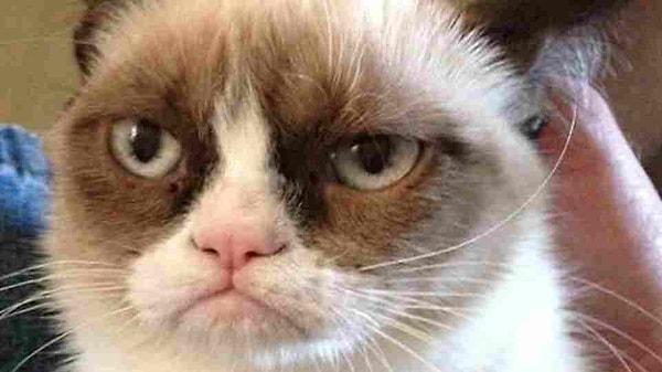 3. Grumpy Cat hakkındaki düşüncen ne?