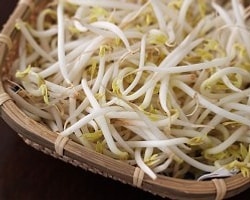 Soya'nın Faydaları