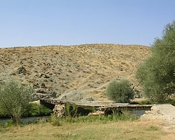 Kocaeli'nin Göç Yolu Artık Havayolu