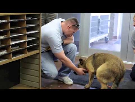 Kaybolan Köpeğin 7 Ay Sonra Sahipleri Tarafından Bulunması