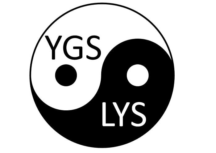 YGS mi önemli LYS mi?