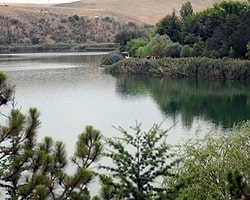 'Bir Ağaç Sizden, Bir Orman ODTÜ'den'