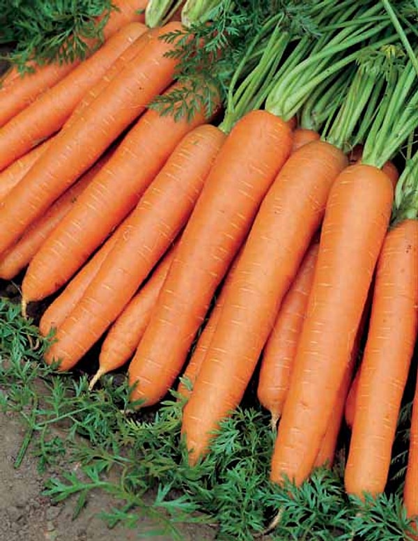 22. Если вам часто приходится выходить из дома без макияжа, ешьте морковь или выпейте морковного сока. Это придаст цвет вашему лицу.