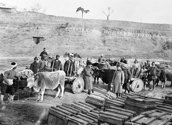 Hiç Görmediğiniz Fotoğraflarla Çanakkale Savaşı