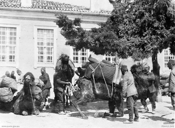Hiç Görmediğiniz 18 Fotoğraf ile Çanakkale Savaşı