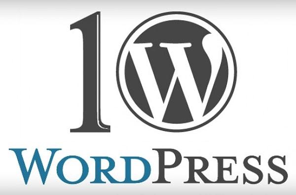 4. WordPress websitesi kurdurabilirsiniz
