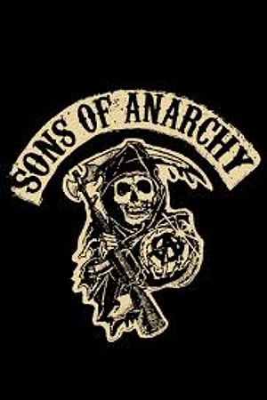 Anarchy Profil Resmi