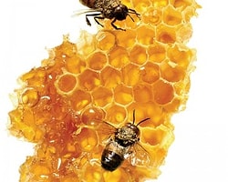 Doğanın Mucizesi Propolis
